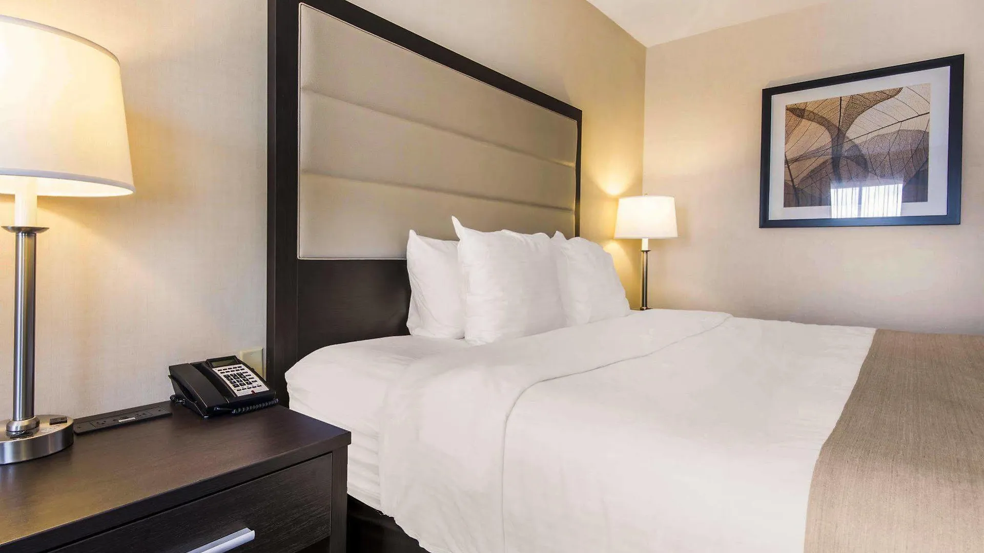 Quality Inn Airport West Mississauga